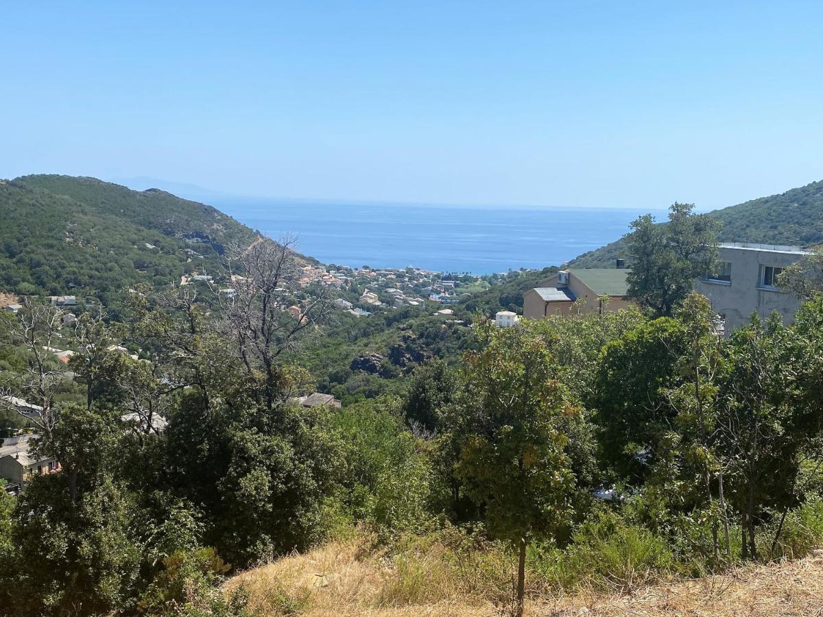 U Cavallu - Luxe Entre Mer Et Montagne Santa-Maria-di-Lota Luaran gambar