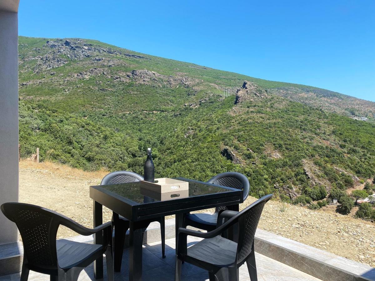 U Cavallu - Luxe Entre Mer Et Montagne Santa-Maria-di-Lota Luaran gambar