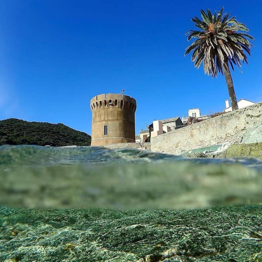 U Cavallu - Luxe Entre Mer Et Montagne Santa-Maria-di-Lota Luaran gambar